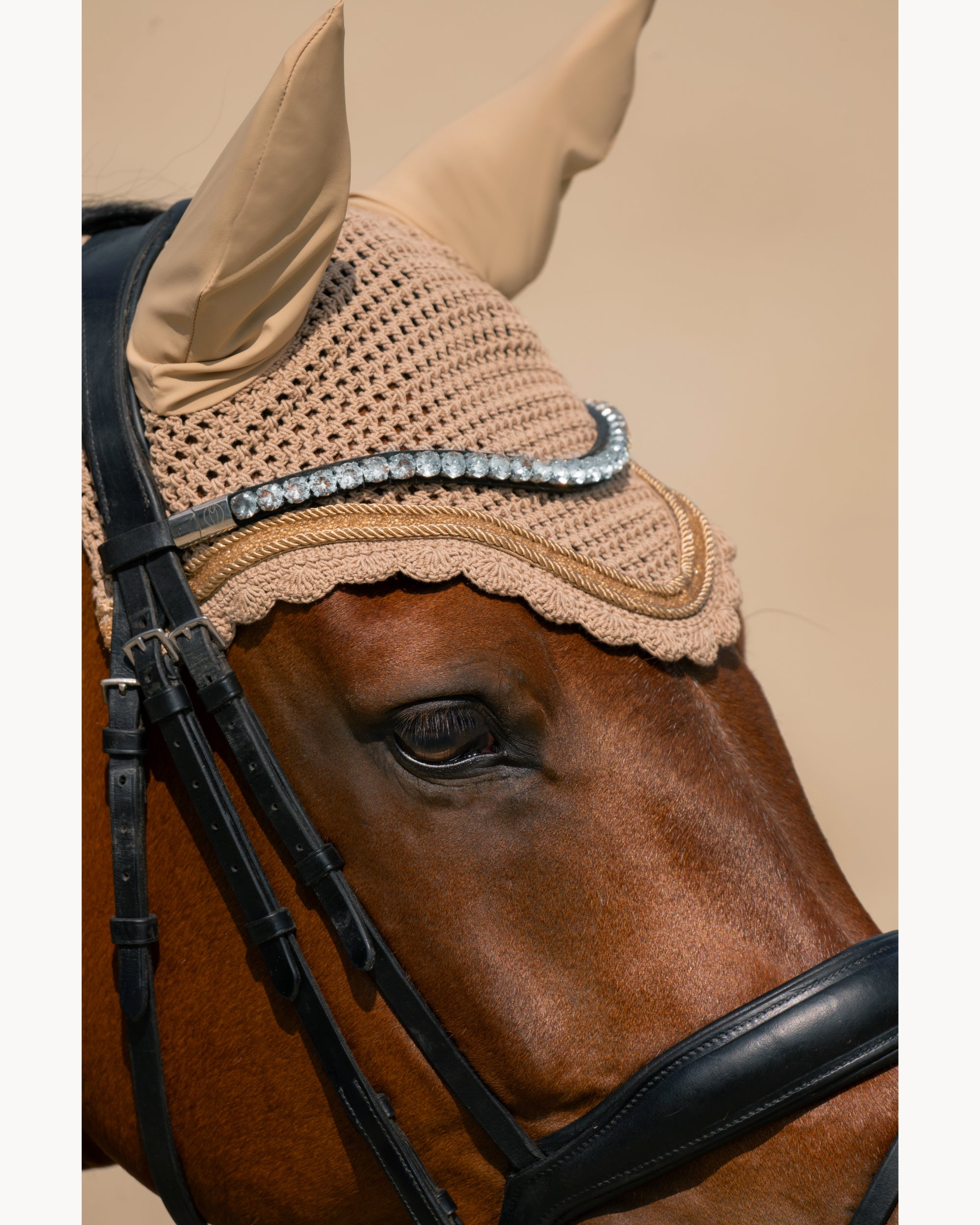 Eskadron Jewel Fly Hood CS26