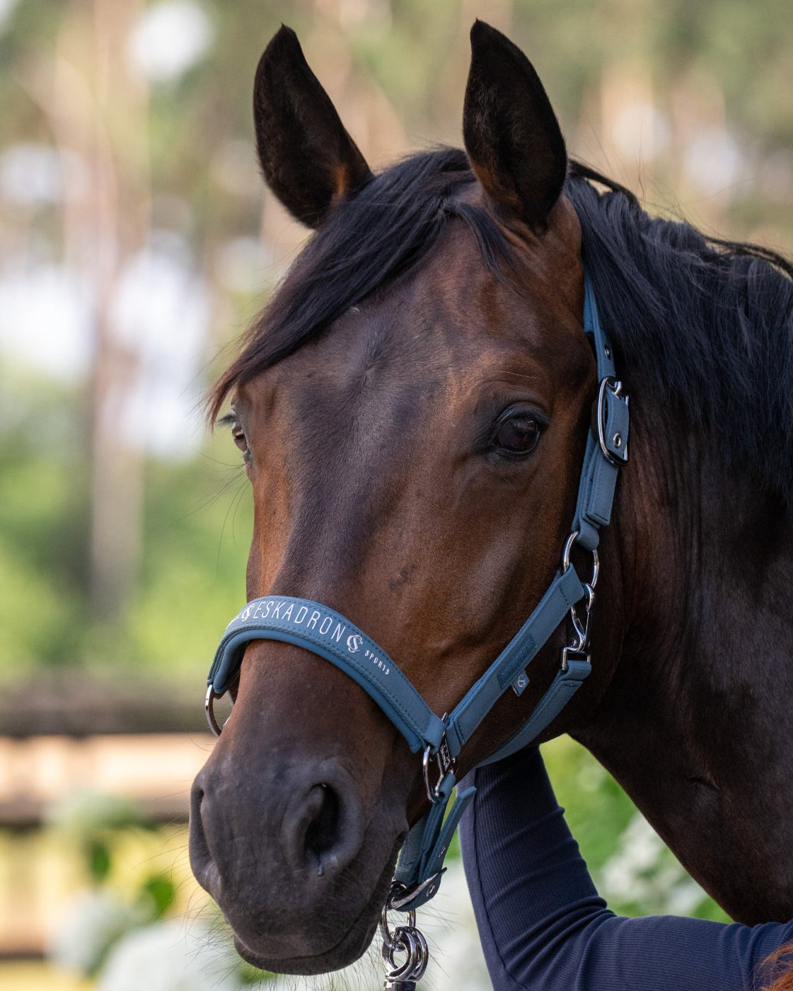 Eskadron Softshell Jewel Headcollar CS26