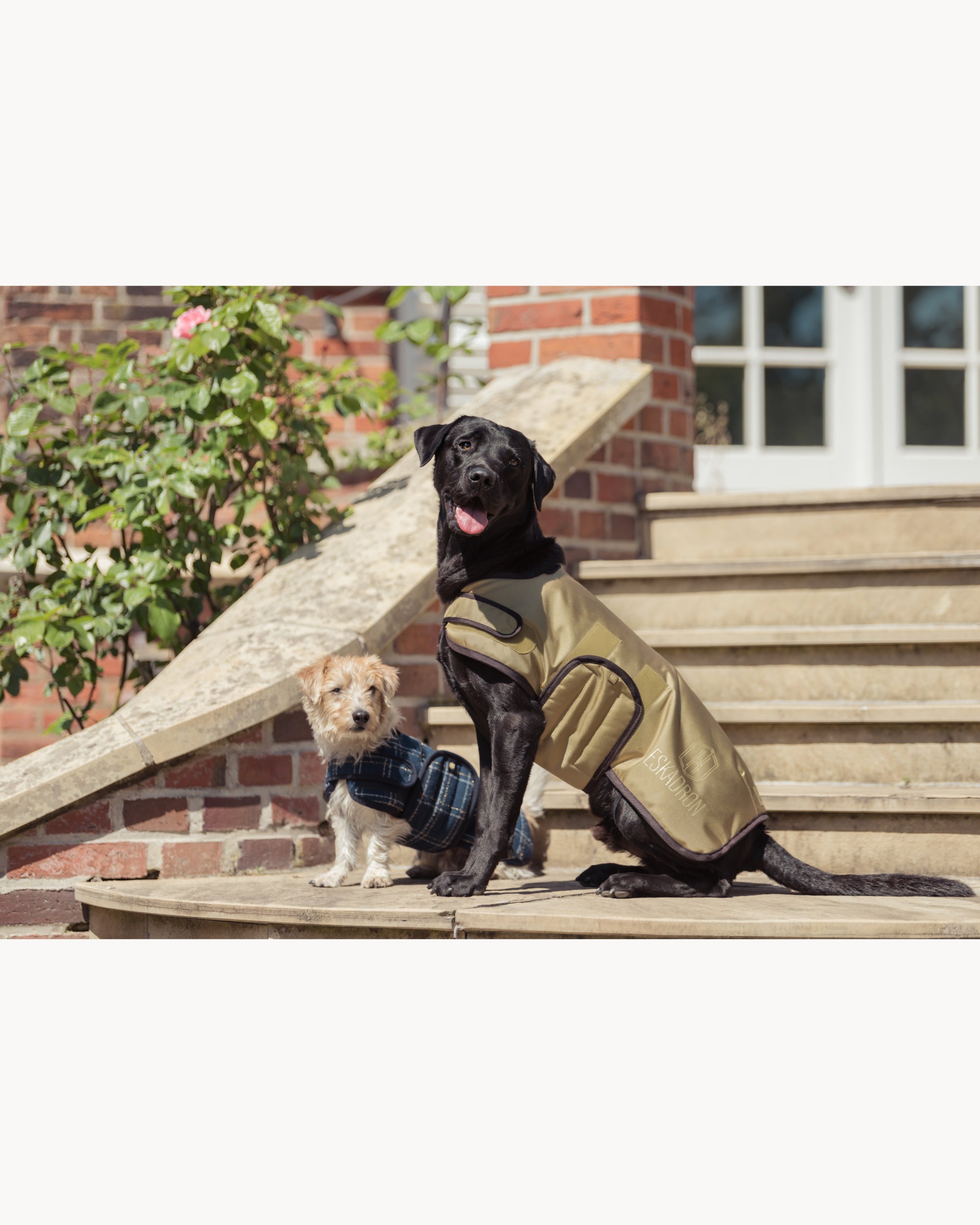 Eskadron Dog Coat Heritage 25