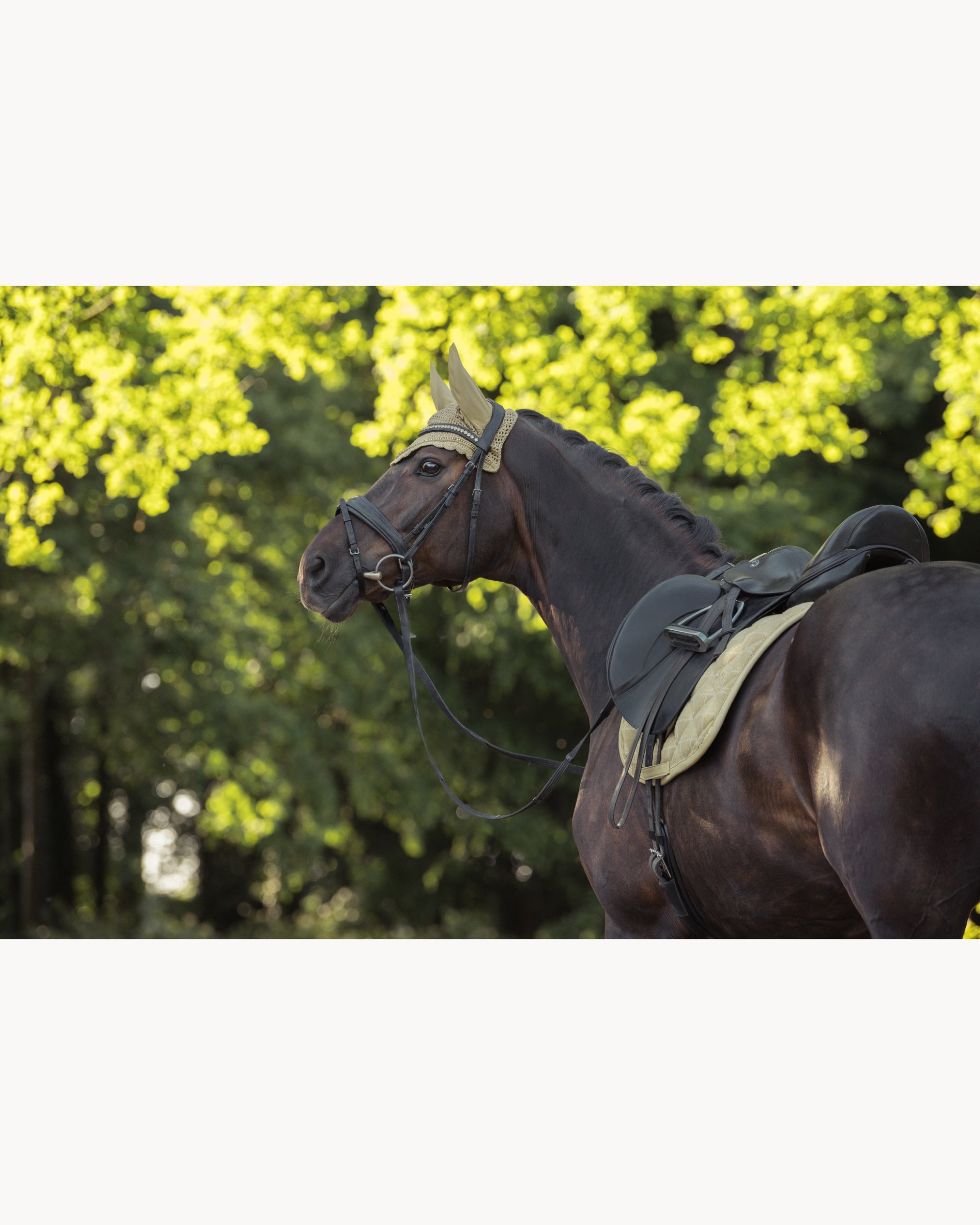 Eskadron Boucle Emblem Saddle Pad Heritage 25