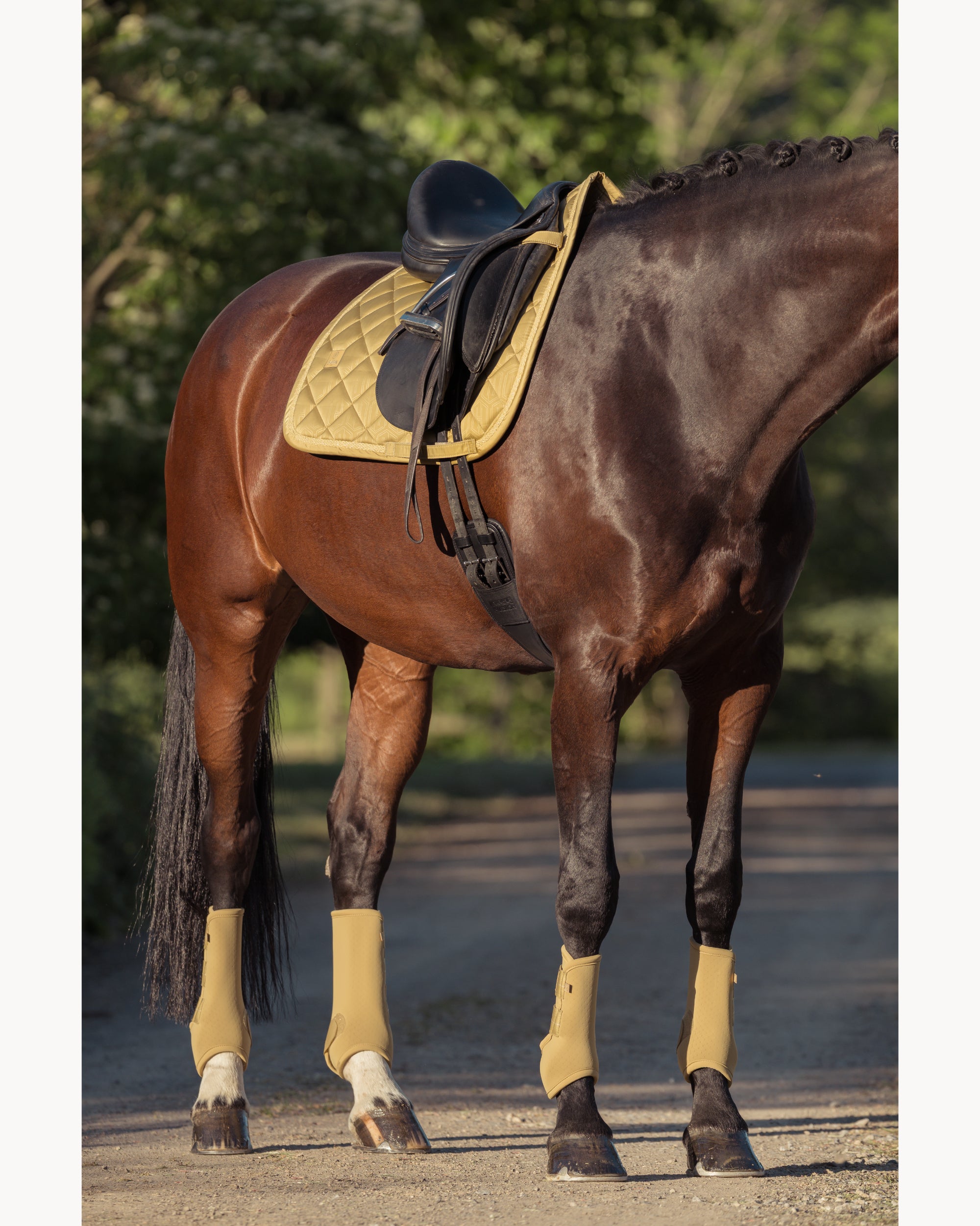 Eskadron Glossy Heritage Saddle Pad Heritage 25