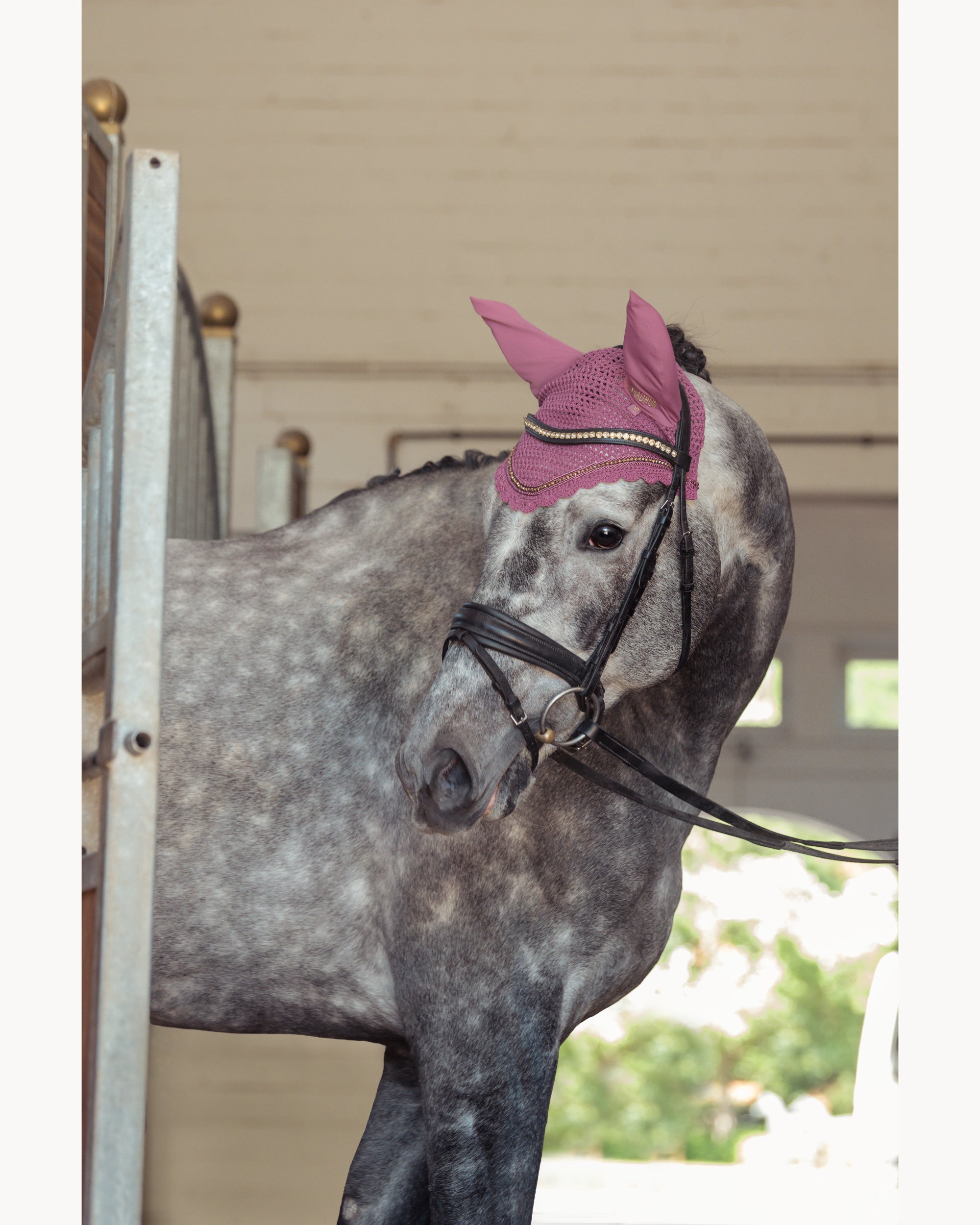 Eskadron Crystal Fly Hood Heritage 25