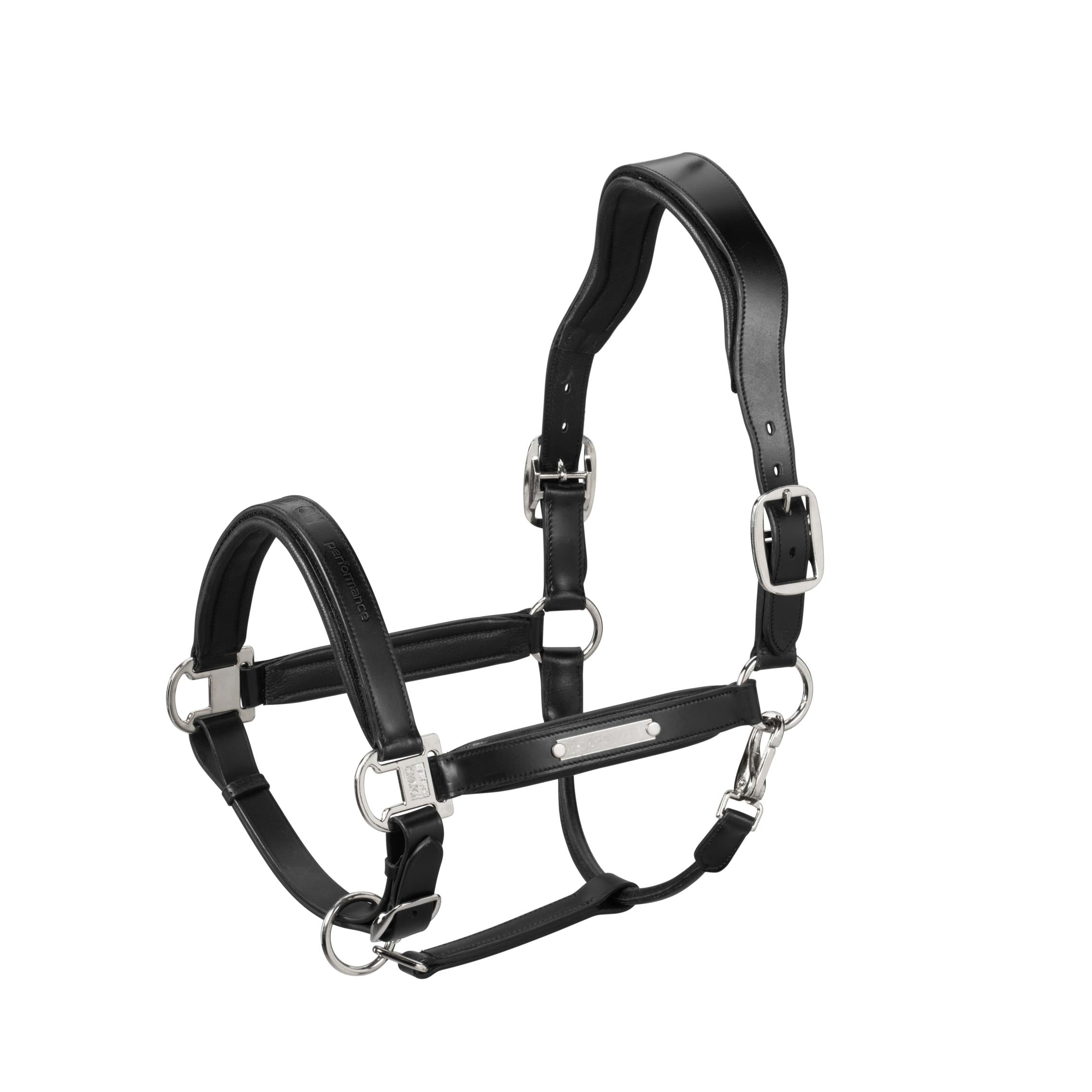 Eskadron Stallion Leather Headcollar.