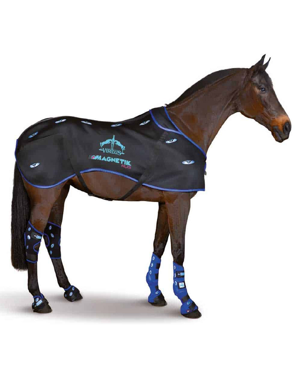 Veredus Magnetik Horse Rug.
