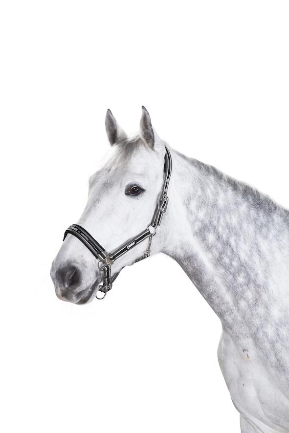 Eskadron Tri Colour Pin Buckle Headcollar.