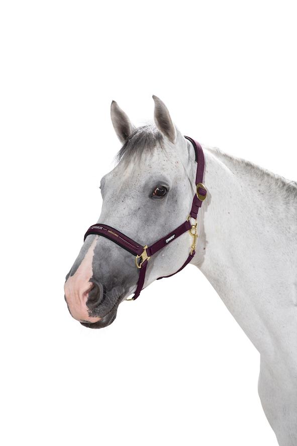 Eskadron Sliding Buckle Headcollar.