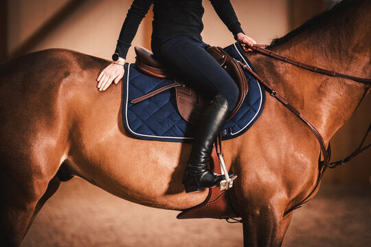Riding Boots: From Daily Schooling to Championship Competition