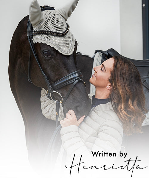 What's New at My Breeches.