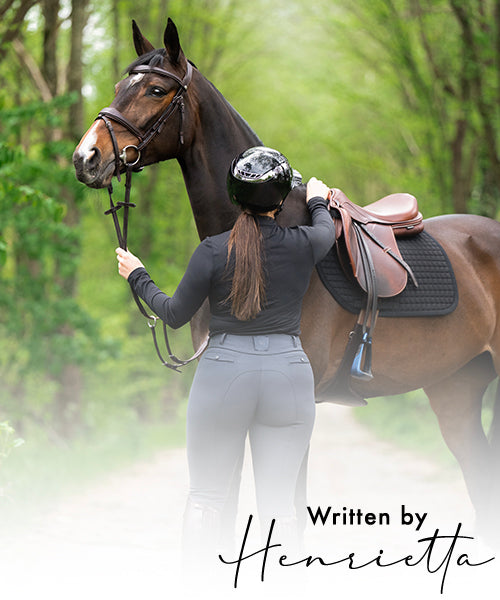 The Best of My Breeches: Top Picks for Equestrians.