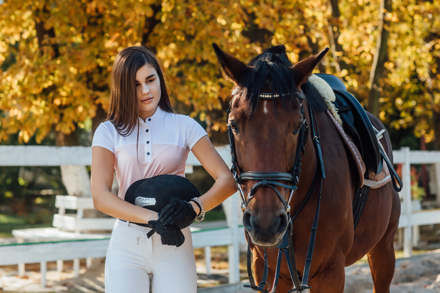 Competition Shirts That Win: Style Meets Performance in the Show Ring