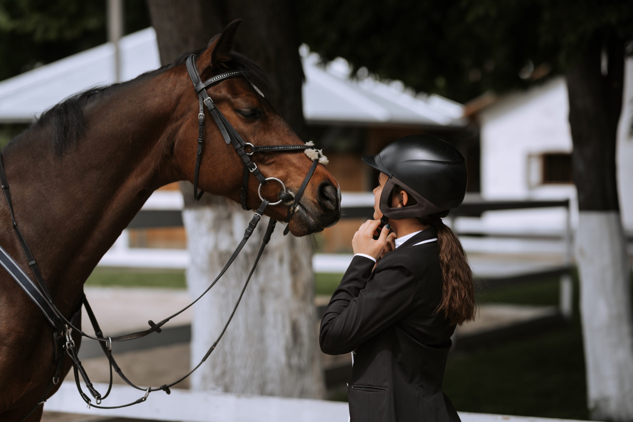 MIPS Technology and Modern Safety Standards in Riding Helmets