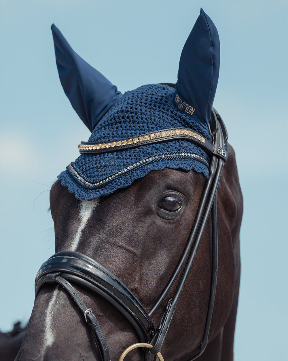 Eskadron Crystal Fly Hood Heritage 2024 - Night Blue.