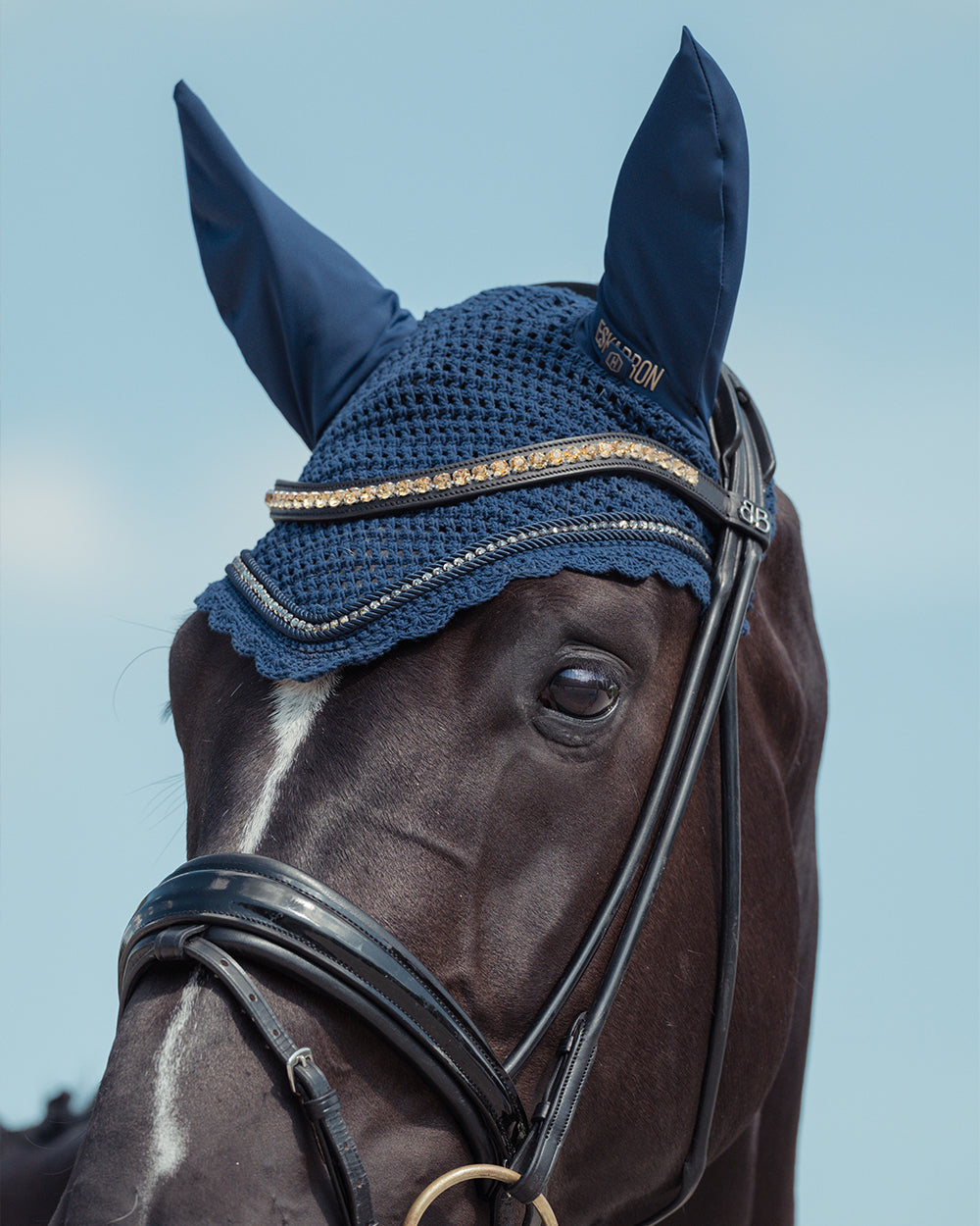 Eskadron Crystal Fly Hood Heritage 2024 - Night Blue