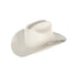 STIFF STRAW HAT WITH PLUME ON TOP.