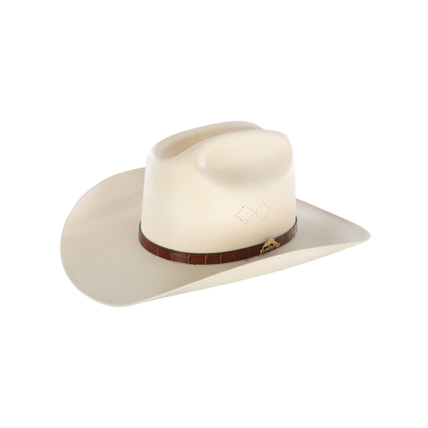 STIFF WAXED HAT LUXURY PLUM MODEL.