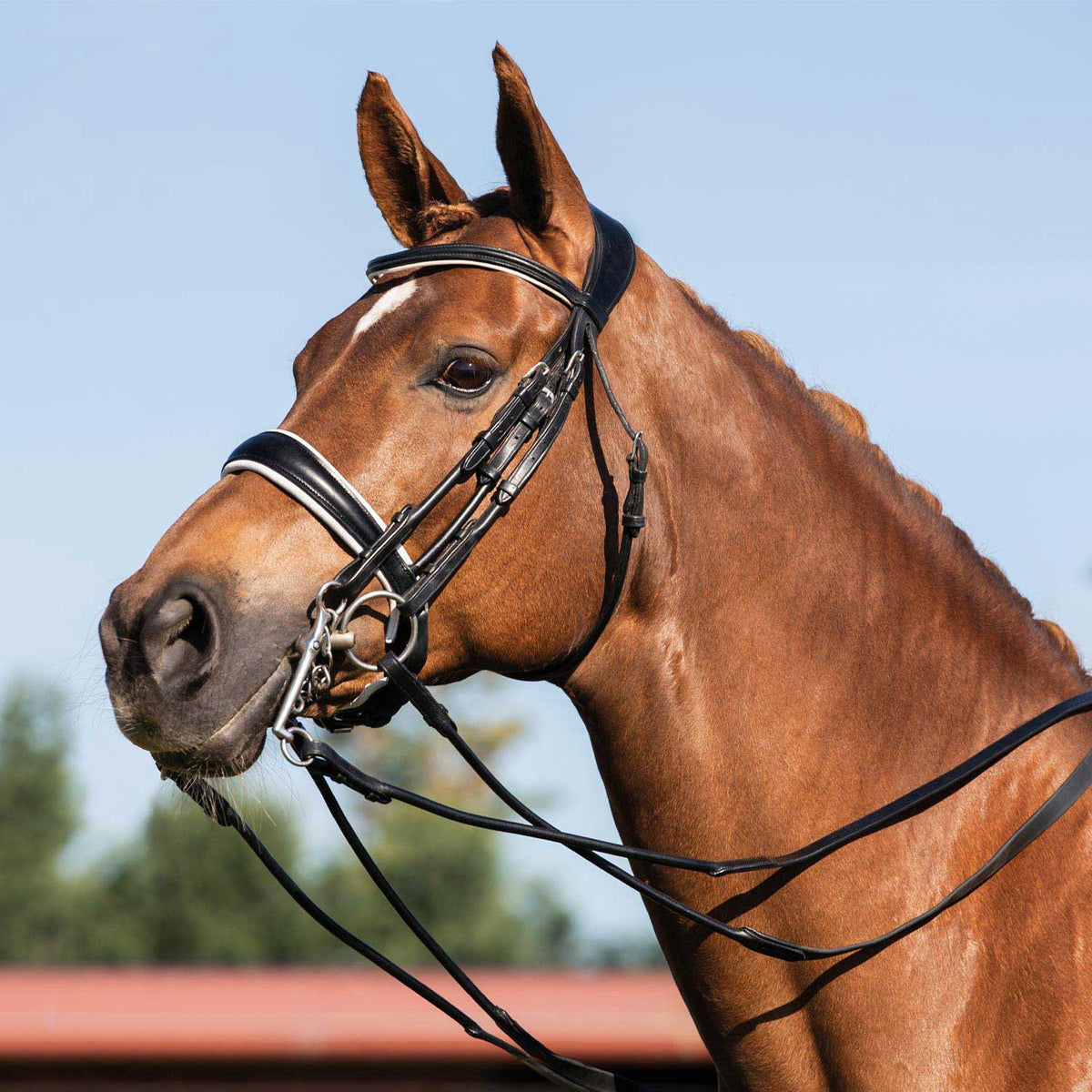 Acavallo Giocanda Bridle Calfskin &amp; Double Reins
