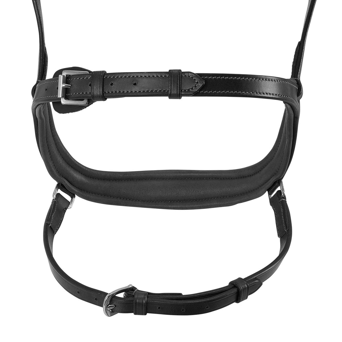 Acavallo Allegoria Anatomic Bridle