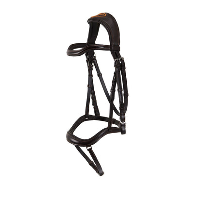Allegoria anatomic bridle.