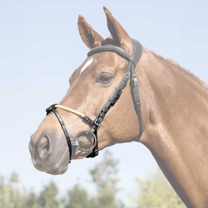 Acavallo Rope Flash Noseband