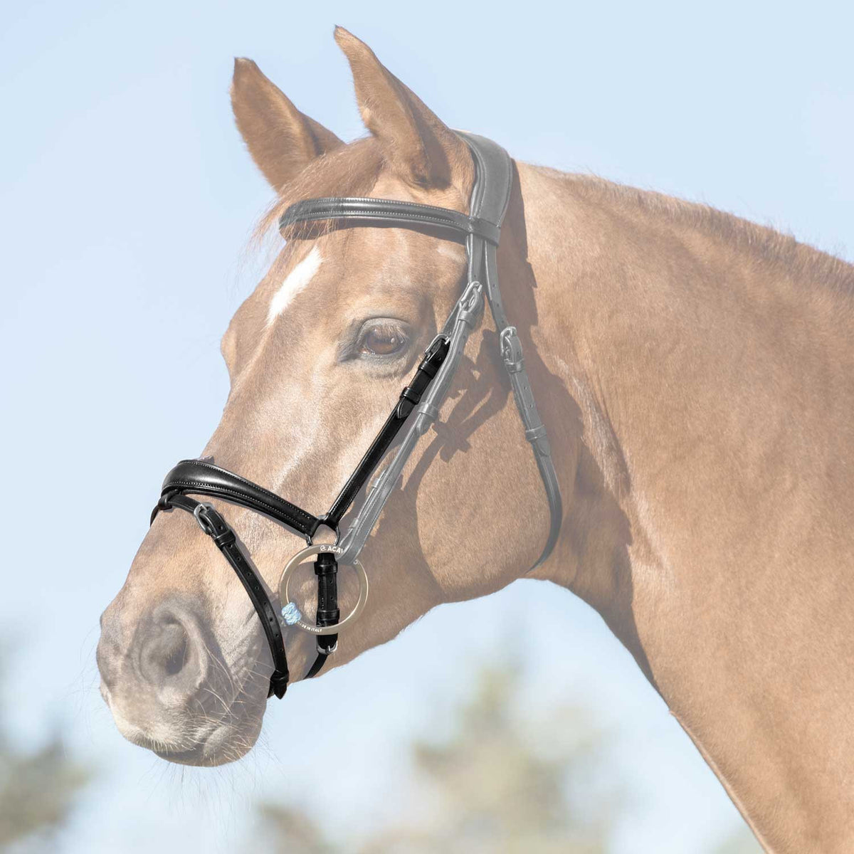 Acavallo Flash Noseband Quick Coupling