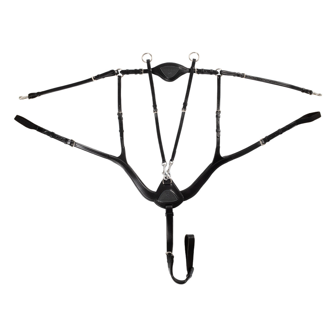 Anatomical 5-point breastplate.