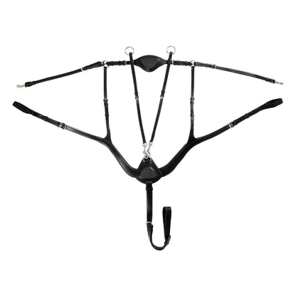 Anatomical 5-point breastplate.