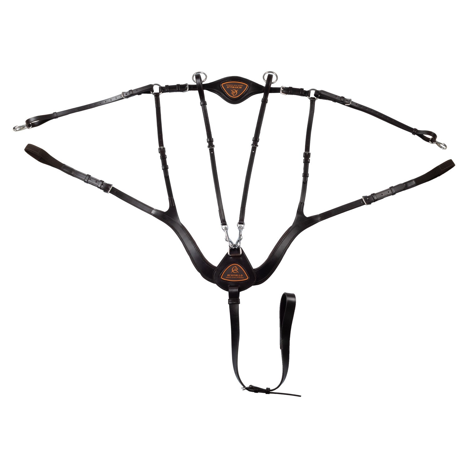 Anatomical 5-point breastplate.
