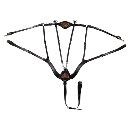 Anatomical 5-point breastplate.