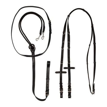 Thiedemann reins tubular nylon.