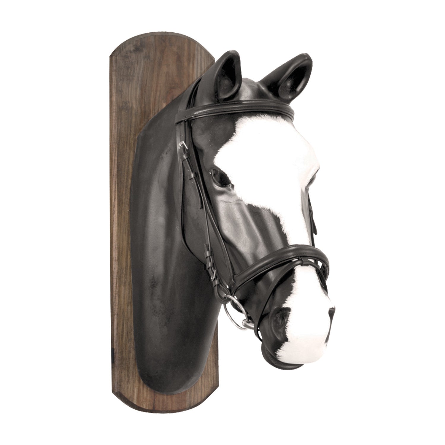 DERBY BRIDLE WITH COTTON REINS.