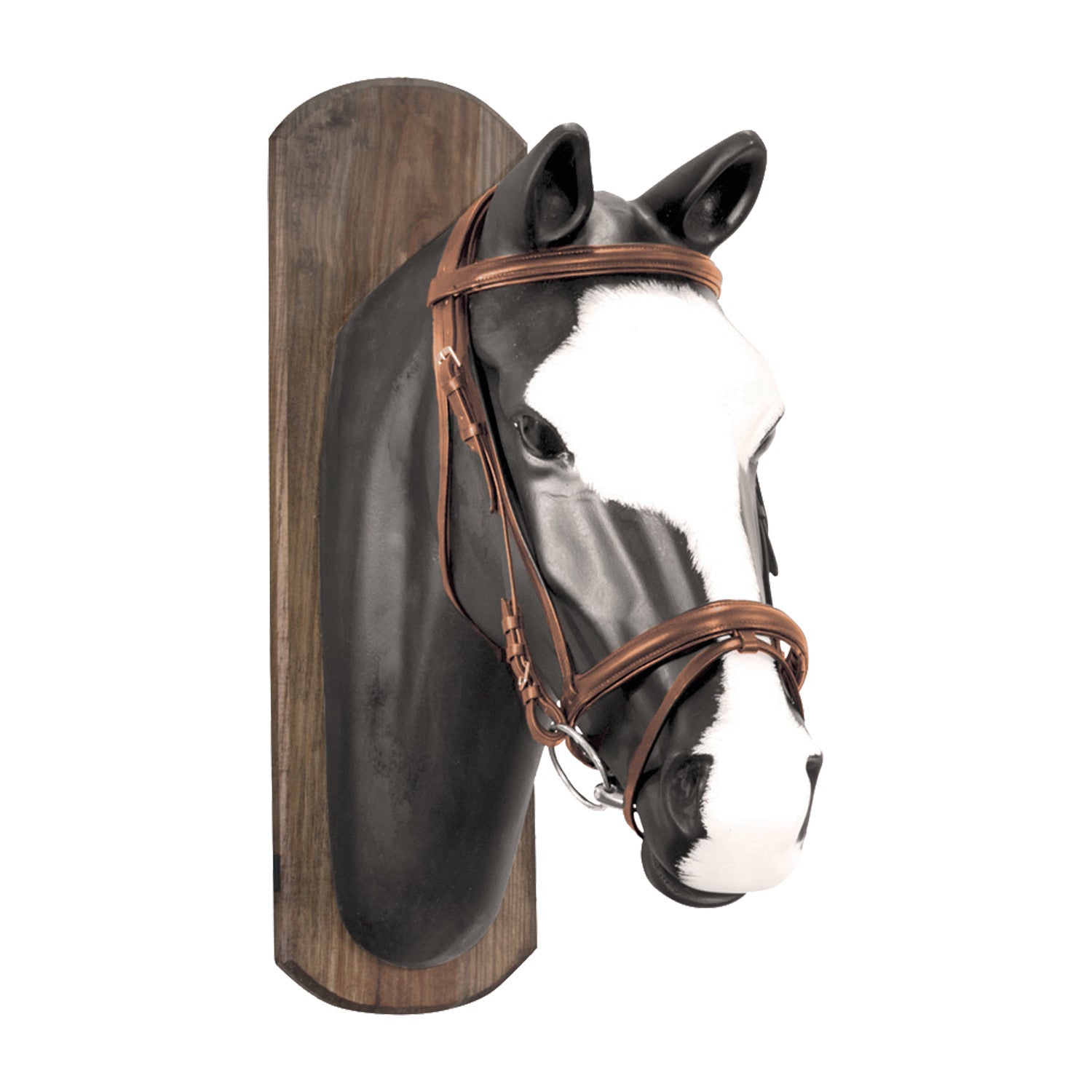 DERBY BRIDLE WITH COTTON REINS.