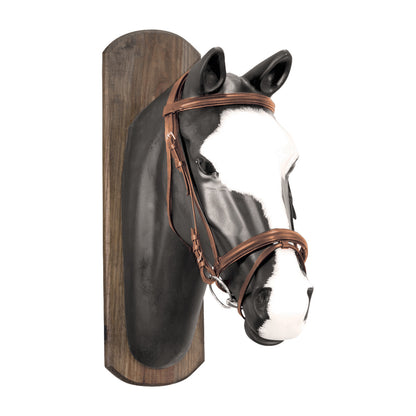 DERBY BRIDLE WITH COTTON REINS.
