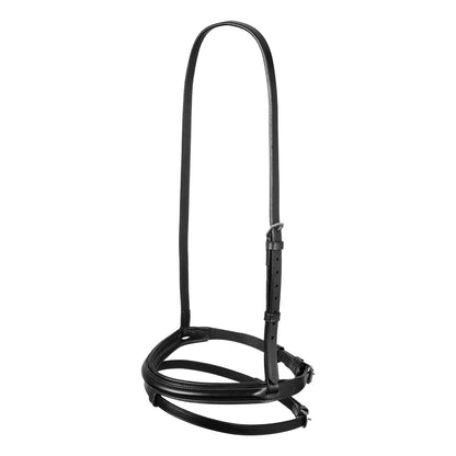 Leather flash noseband bridle.
