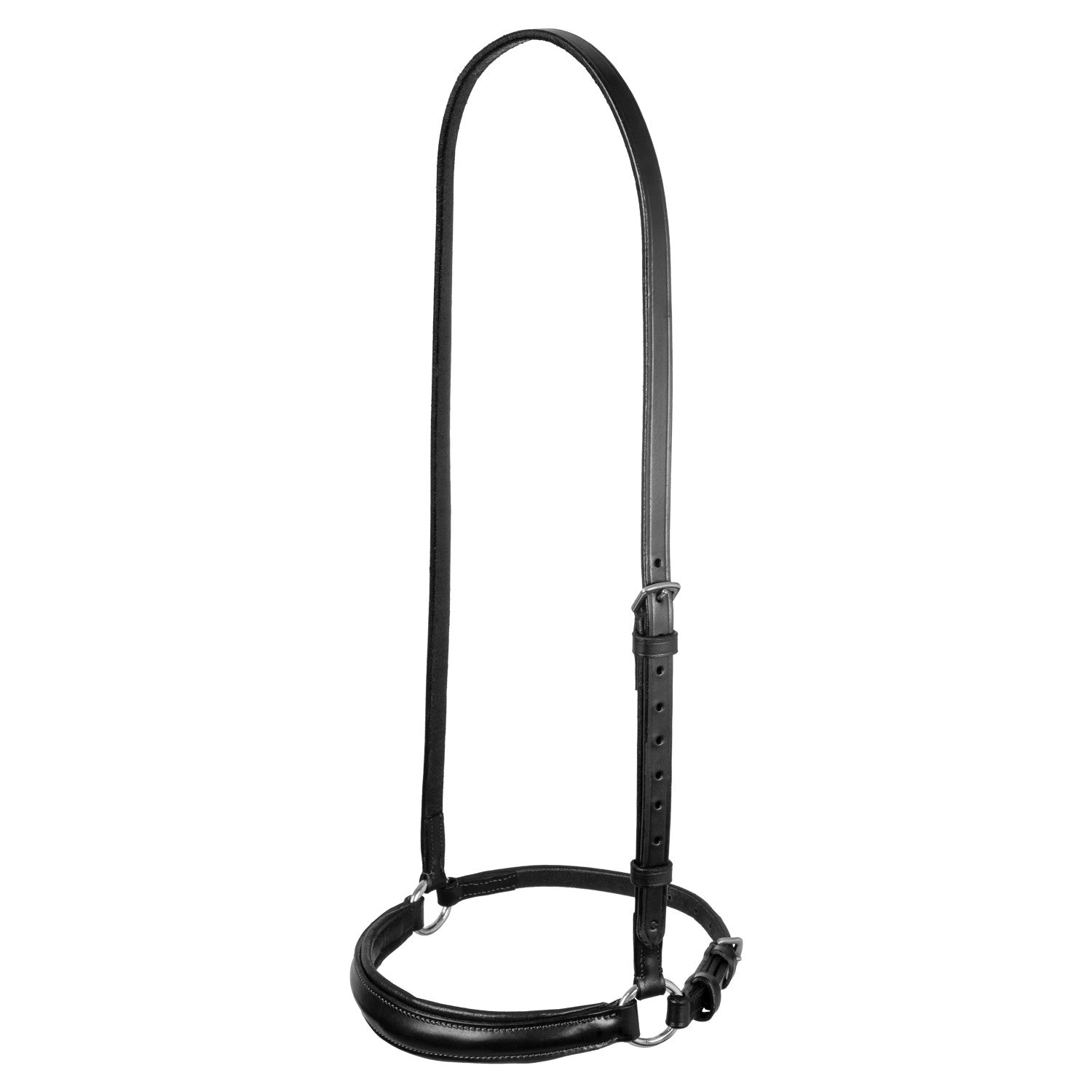Leather German style noseband bridle.