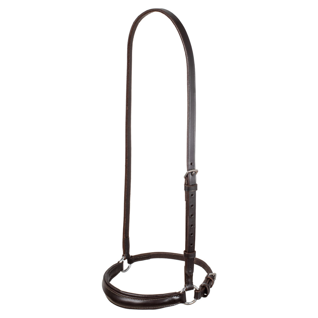 Leather German style noseband bridle.