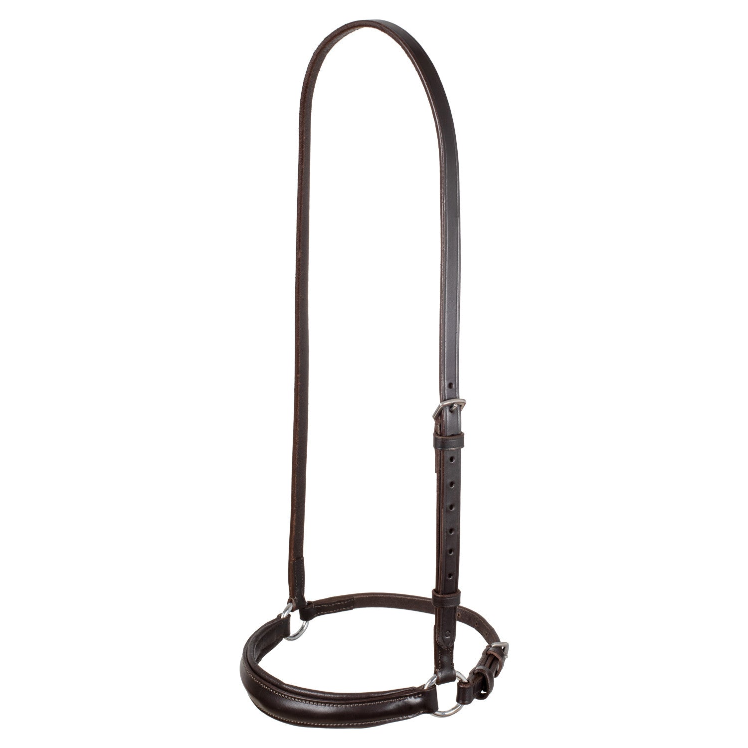 Leather German style noseband bridle.