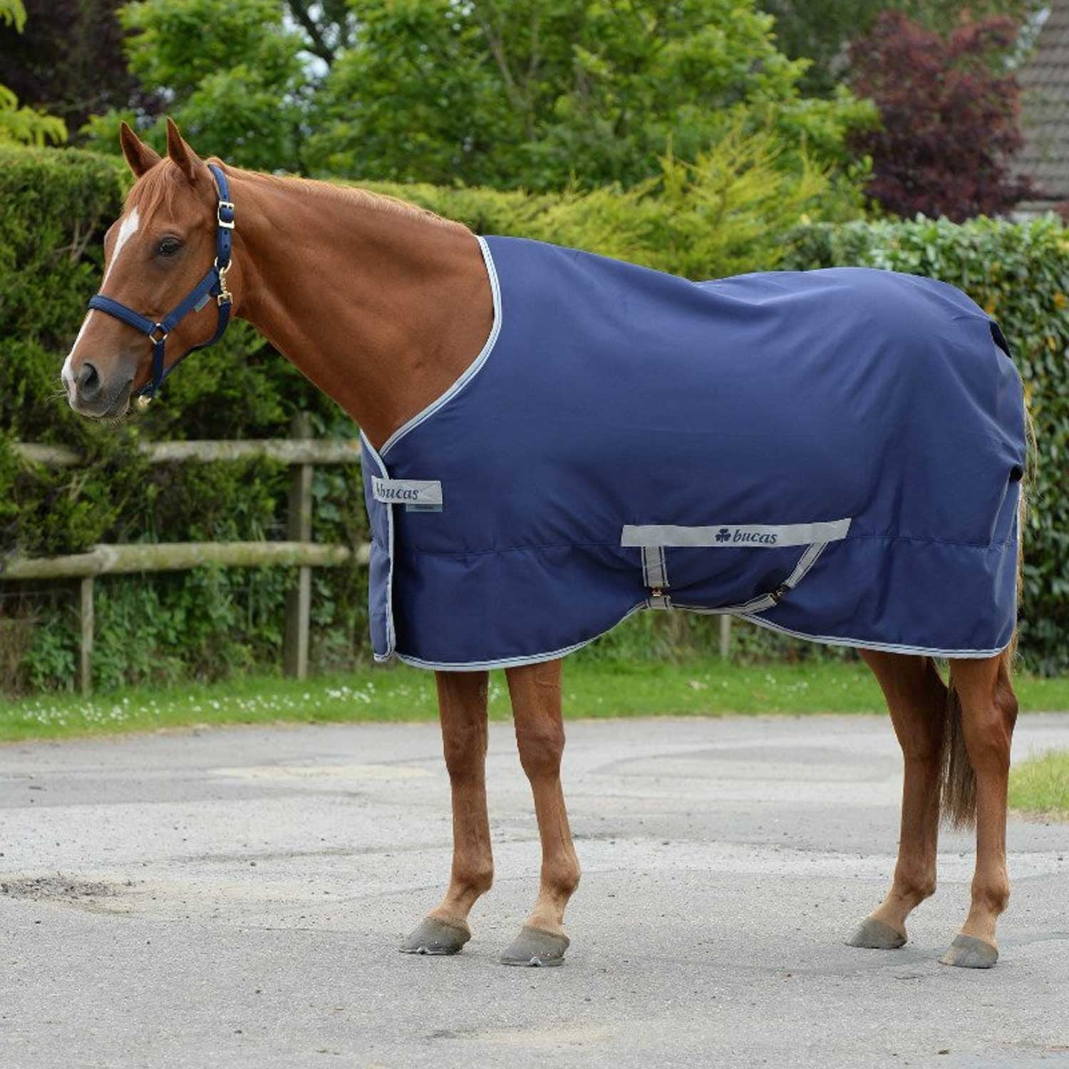 BUCAS CANVAS RUG FREEDOM TWILL.