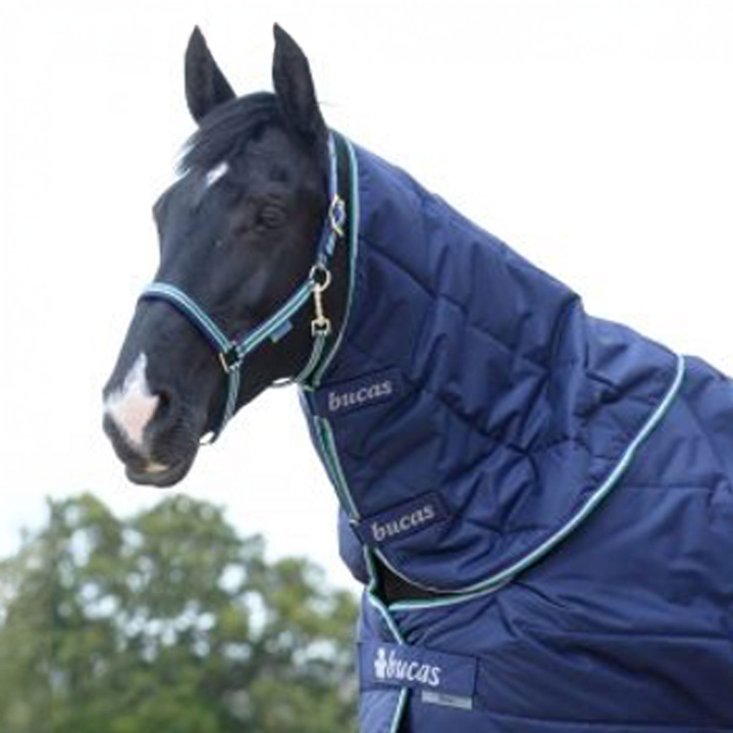 BUCAS STABLE NECK FOR QUILTS 300 SD NAVY.