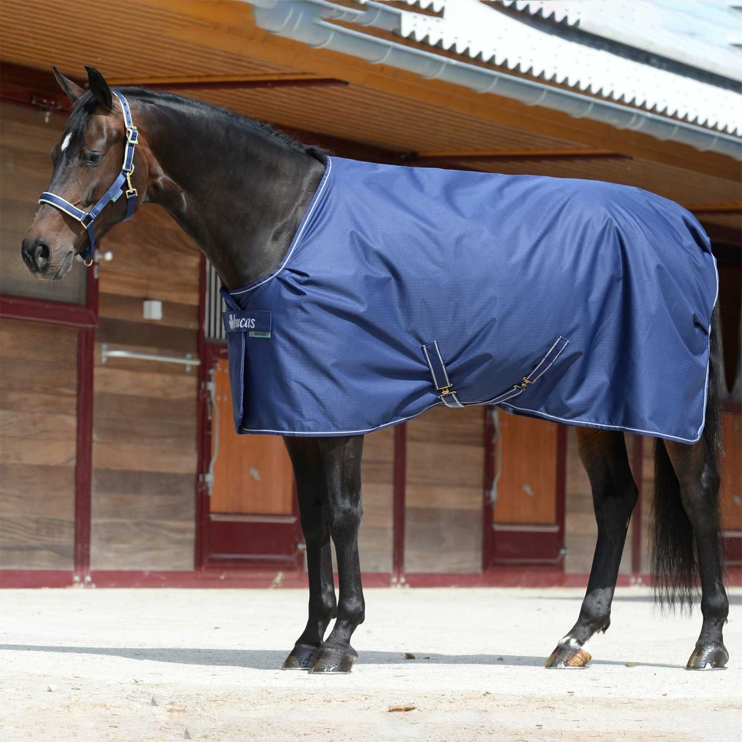 IRISH STABLE EXTRA.