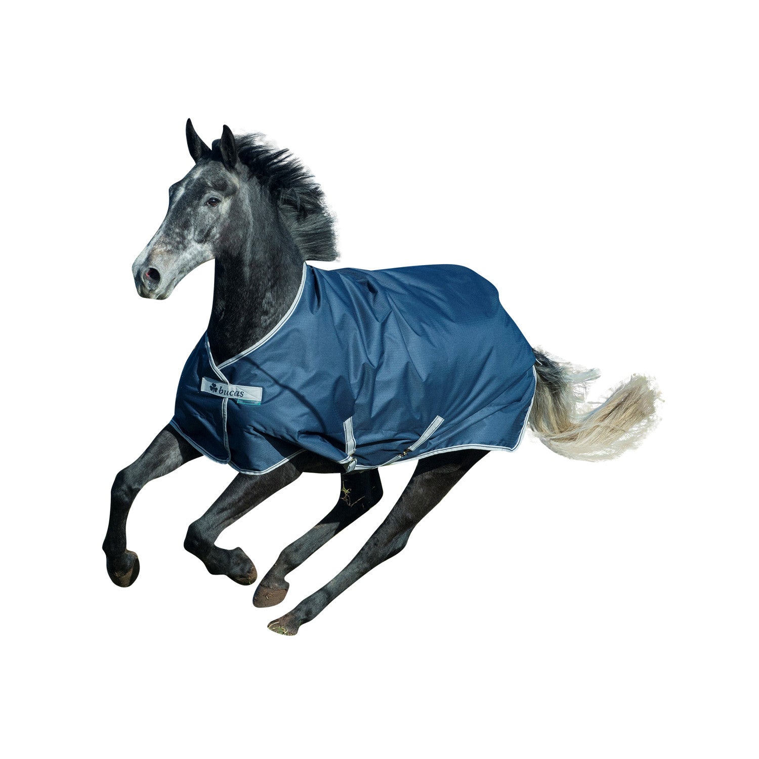 BUCAS FREEDOM TURNOUT 150 NAVY\SILVER.