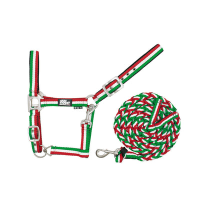 NYLON HALTER WITH LEAD 3 TONE COLORS.