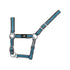 FOAL NYLON BICOLOR HALTER WITH DOUBLE ADJUSTMENT AND SNAP HOOK.