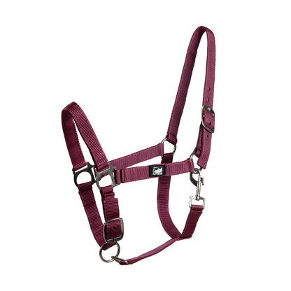 FOAL HALTER WITH DOUBLE ADJUSTMENT AND SNAP HOOK