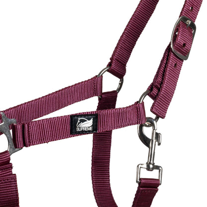 FOAL HALTER WITH DOUBLE ADJUSTMENT AND SNAP HOOK