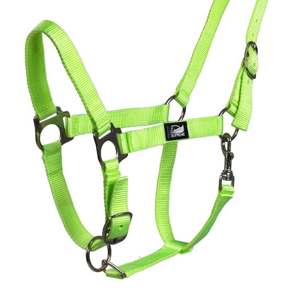FOAL HALTER WITH DOUBLE ADJUSTMENT AND SNAP HOOK