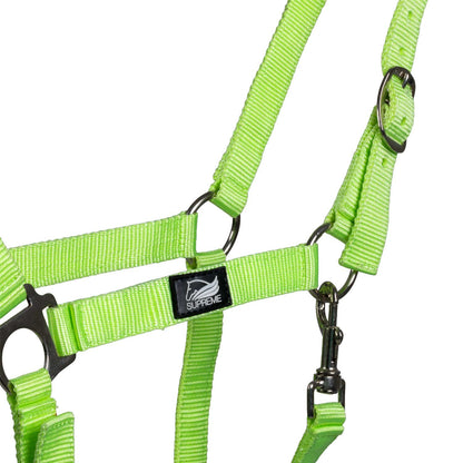FOAL HALTER WITH DOUBLE ADJUSTMENT AND SNAP HOOK