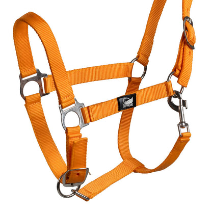FOAL HALTER WITH DOUBLE ADJUSTMENT AND SNAP HOOK