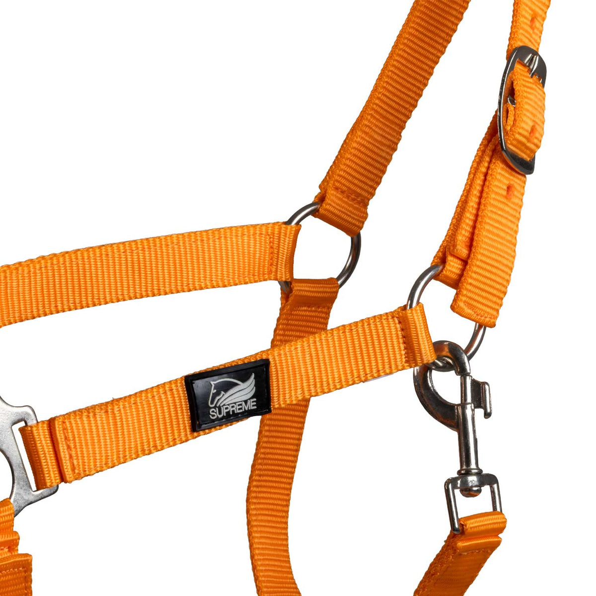 FOAL HALTER WITH DOUBLE ADJUSTMENT AND SNAP HOOK