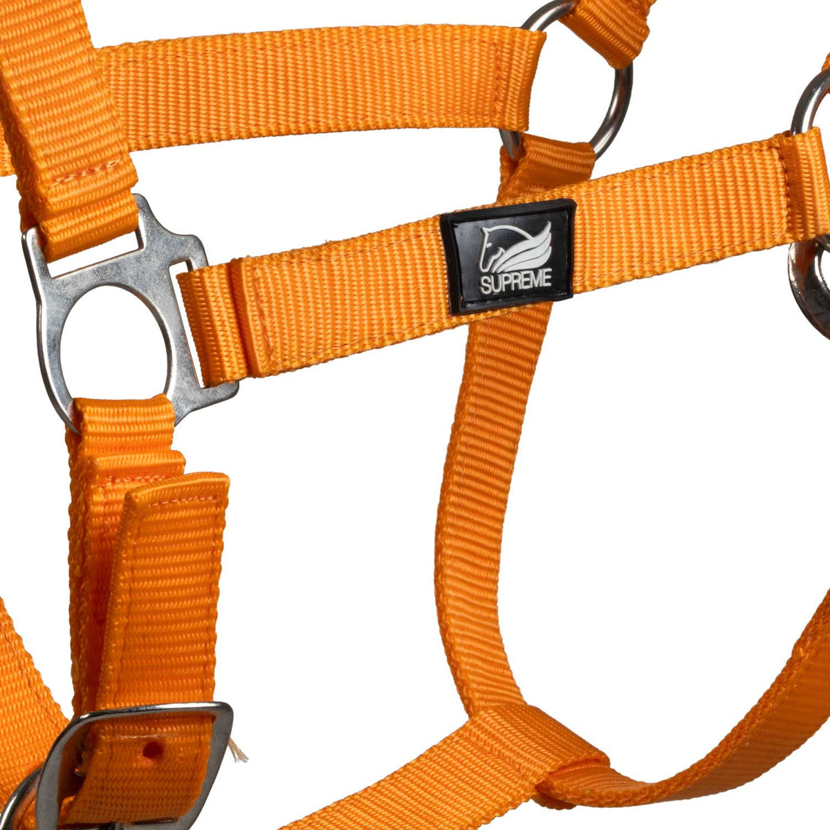 FOAL HALTER WITH DOUBLE ADJUSTMENT AND SNAP HOOK