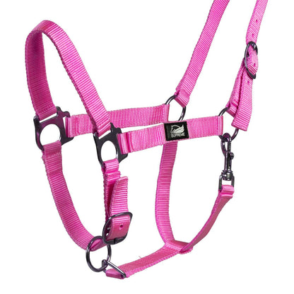 FOAL HALTER WITH DOUBLE ADJUSTMENT AND SNAP HOOK